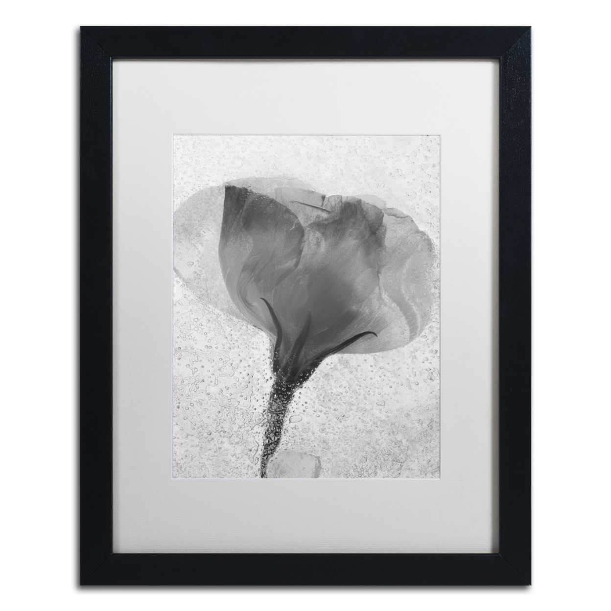 Moises Levy 'Flowers On Ice BW-2' Black Wooden Framed Art 18 X 22 Inches