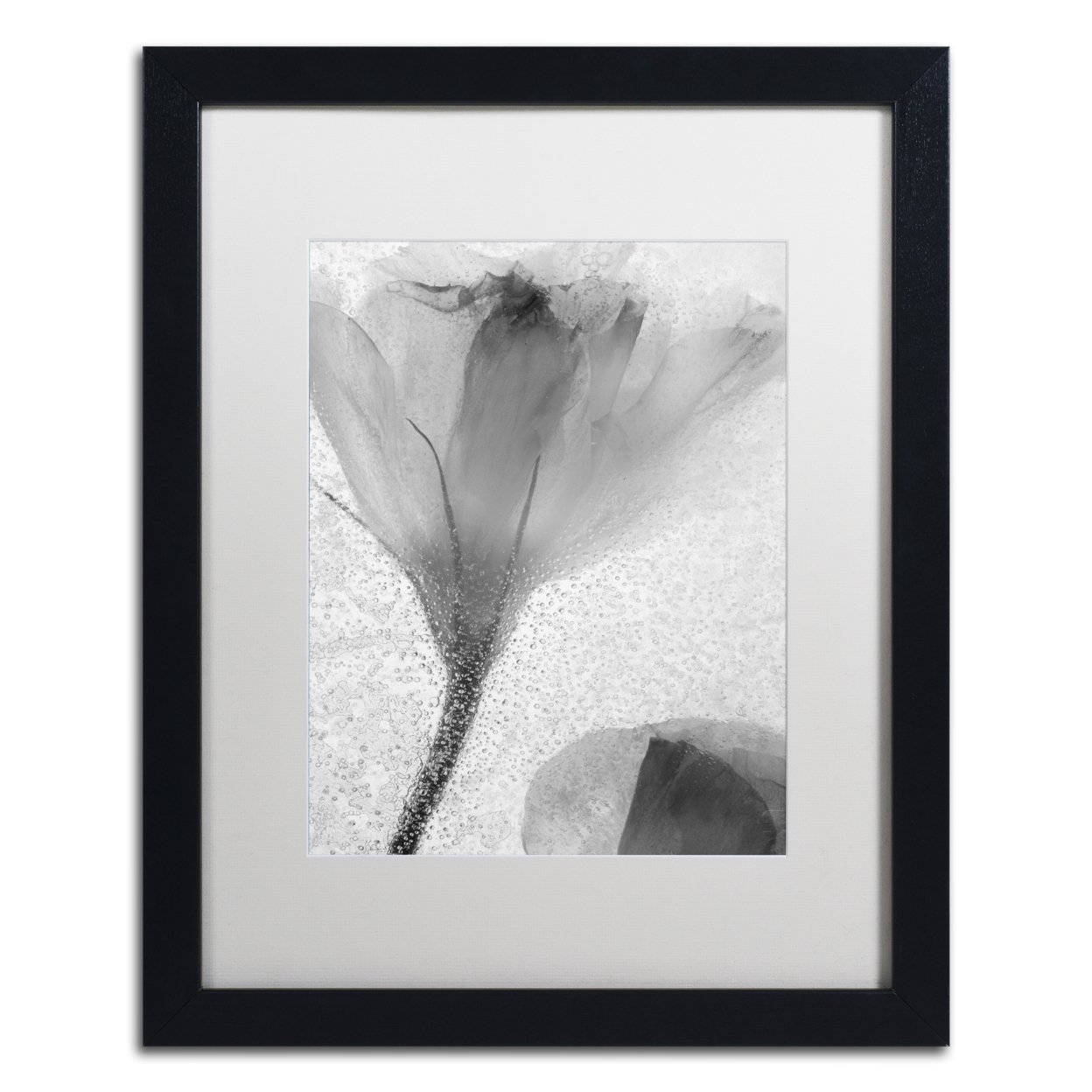 Moises Levy 'Flowers On Ice-13' Black Wooden Framed Art 18 X 22 Inches