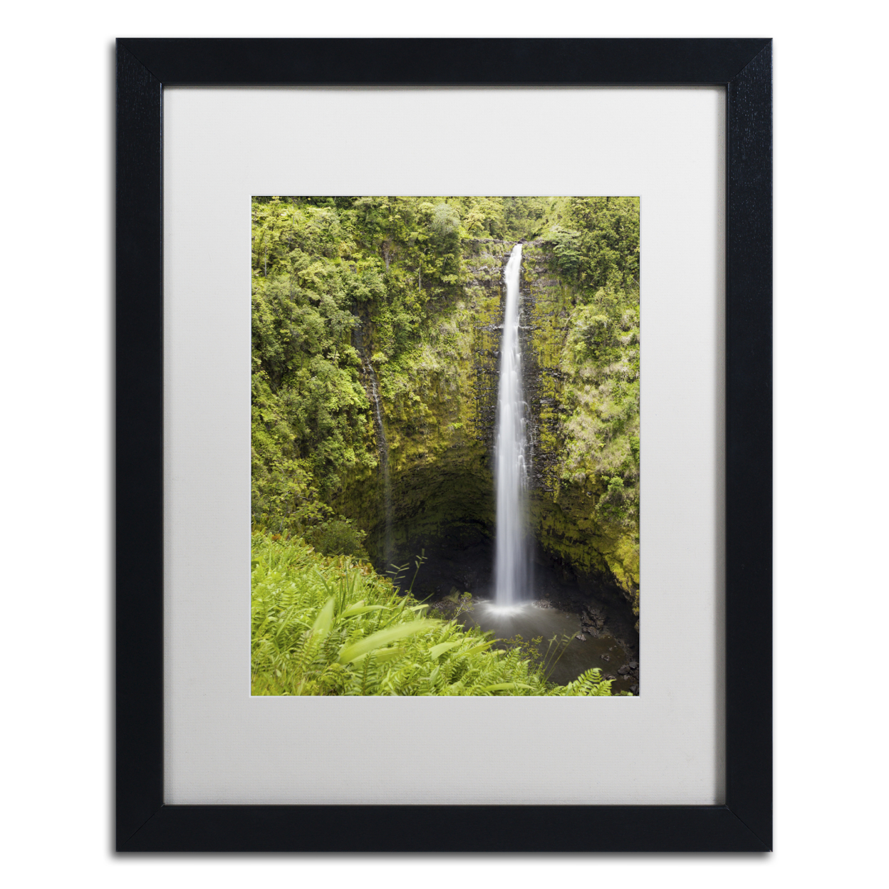 Chris Moyer 'Akaka Falls' Black Wooden Framed Art 18 X 22 Inches