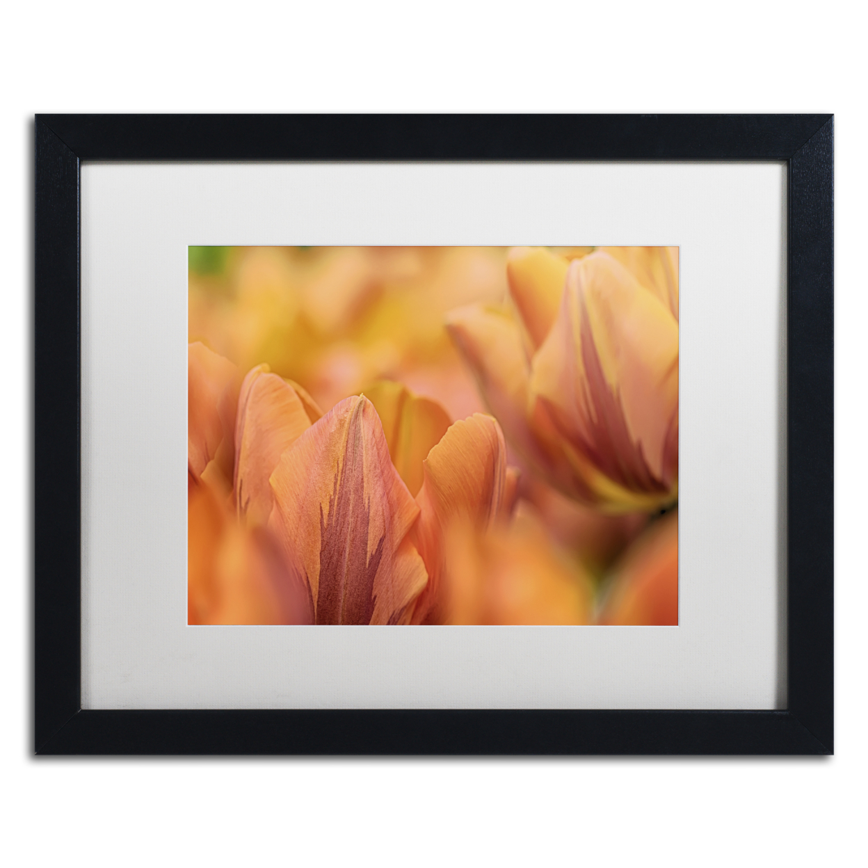 Cora Niele 'Orange Tulips' Black Wooden Framed Art 18 X 22 Inches