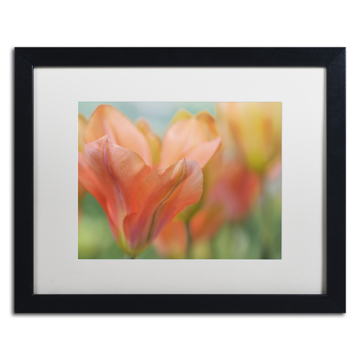 Cora Niele 'Orange Wings Tulips' Black Wooden Framed Art 18 X 22 Inches