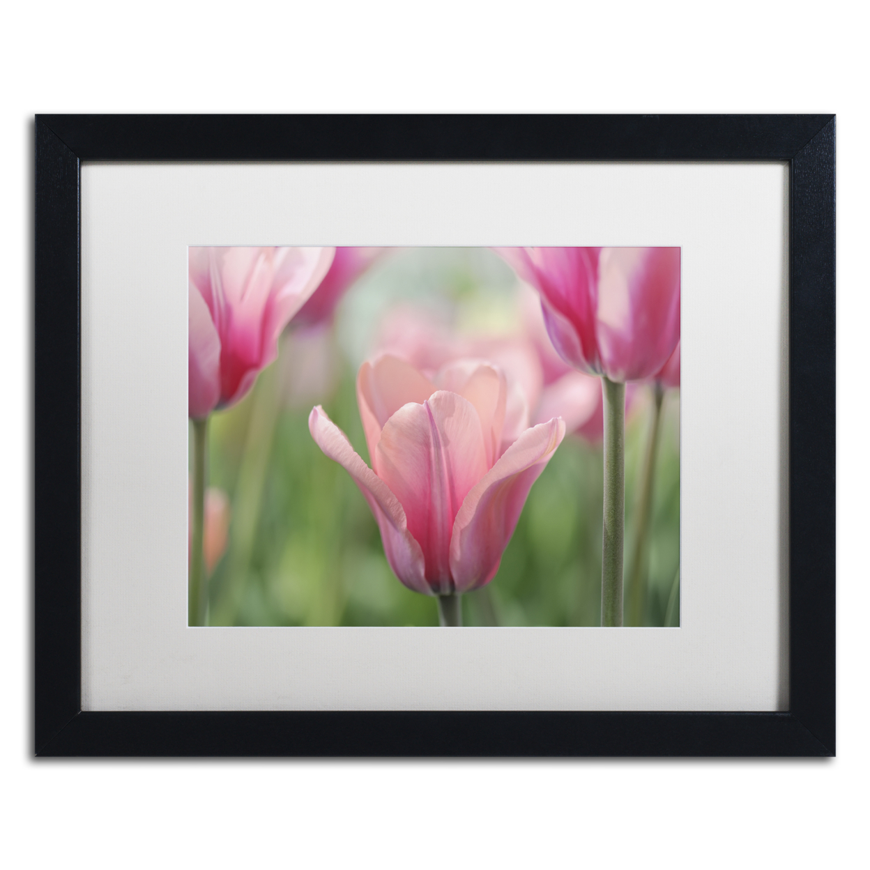 Cora Niele 'Tulip Mirella' Black Wooden Framed Art 18 X 22 Inches