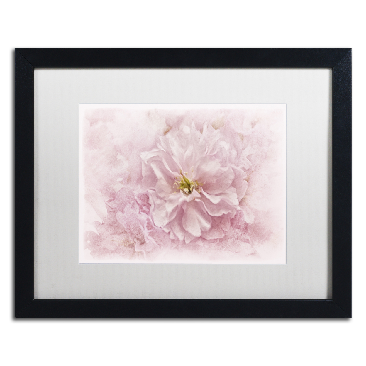 Cora Niele 'Cherry Blossom' Black Wooden Framed Art 18 X 22 Inches