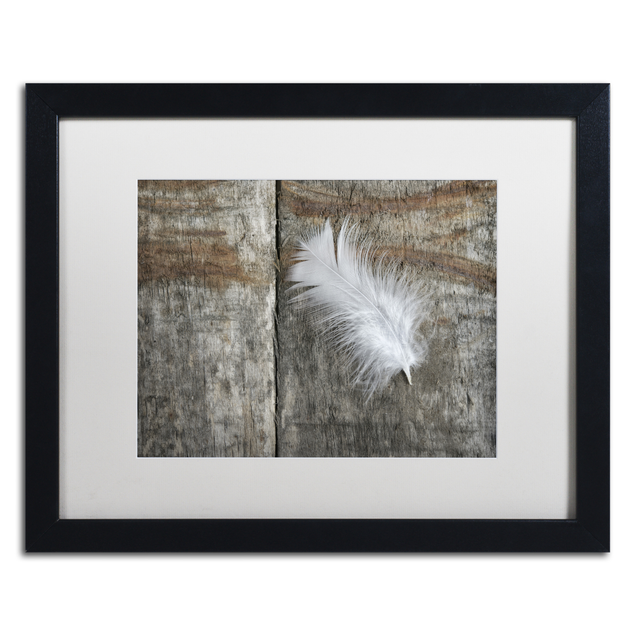 Cora Niele 'Feather On Wood II' Black Wooden Framed Art 18 X 22 Inches