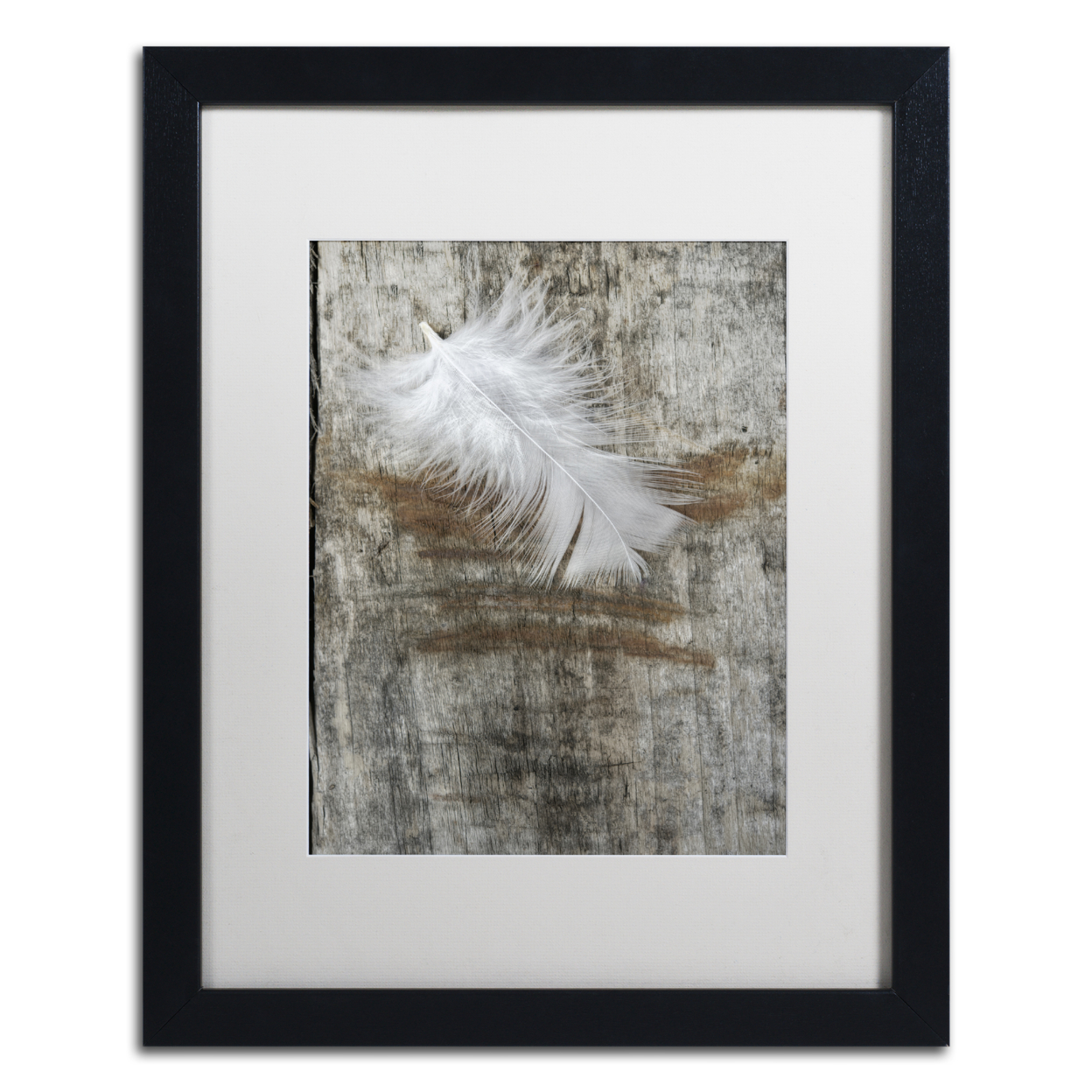 Cora Niele 'White Feather On Wood' Black Wooden Framed Art 18 X 22 Inches