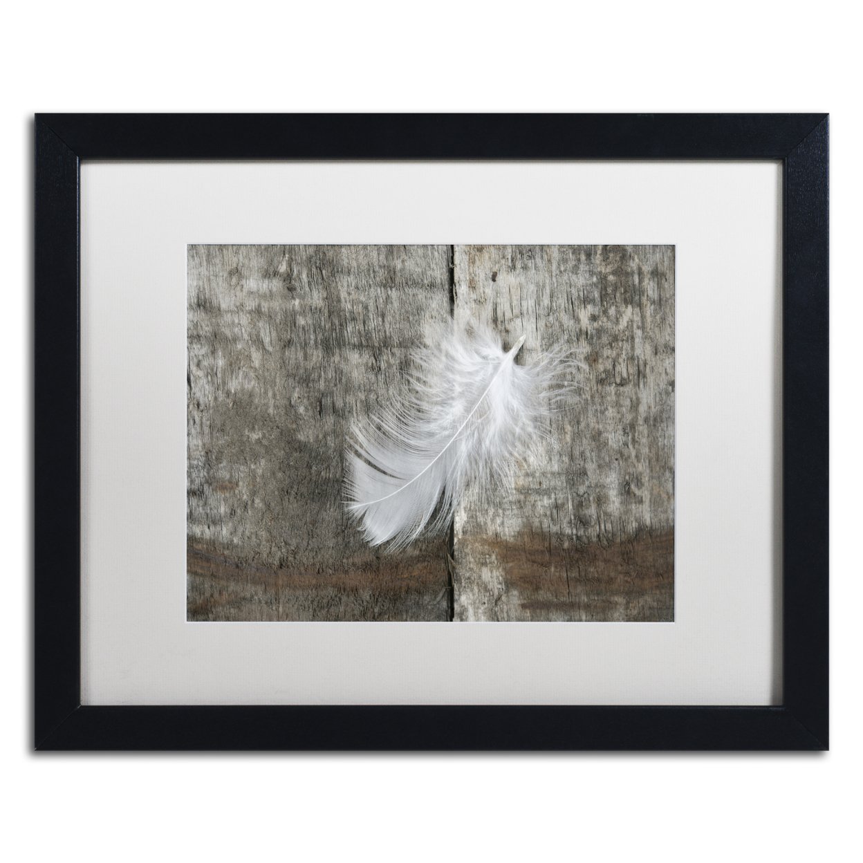 Cora Niele 'White Feather On Rough Wood' Black Wooden Framed Art 18 X 22 Inches