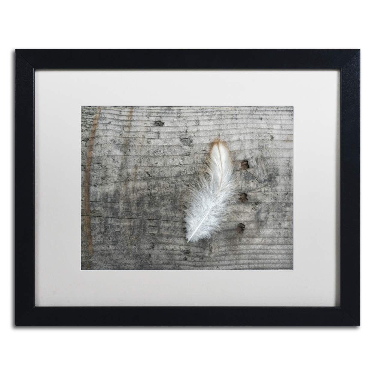 Cora Niele 'Feather On Rough Wood' Black Wooden Framed Art 18 X 22 Inches