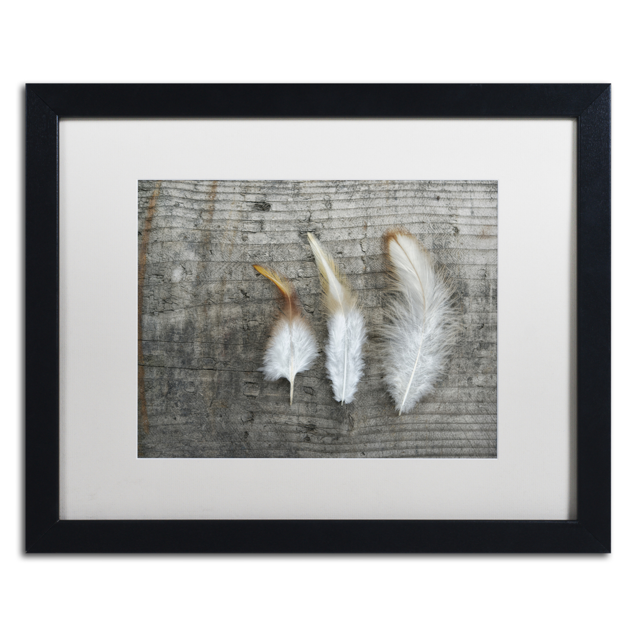 Cora Niele 'Three Feathers On Wood' Black Wooden Framed Art 18 X 22 Inches