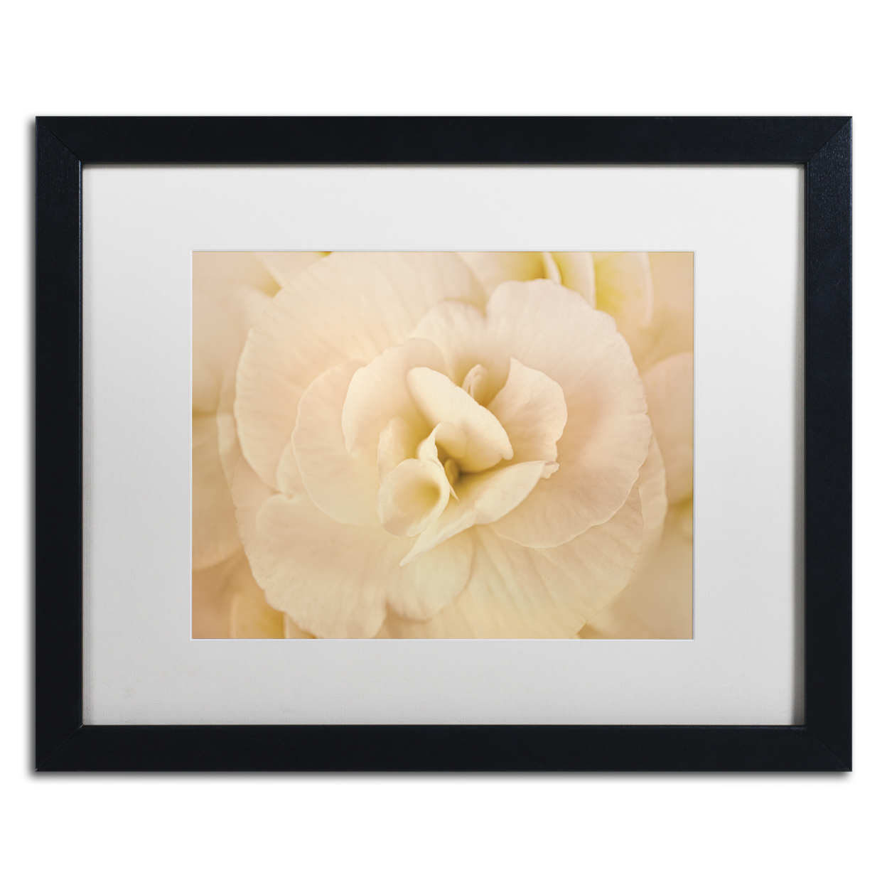 Cora Niele 'Amber Begonia Flower' Black Wooden Framed Art 18 X 22 Inches