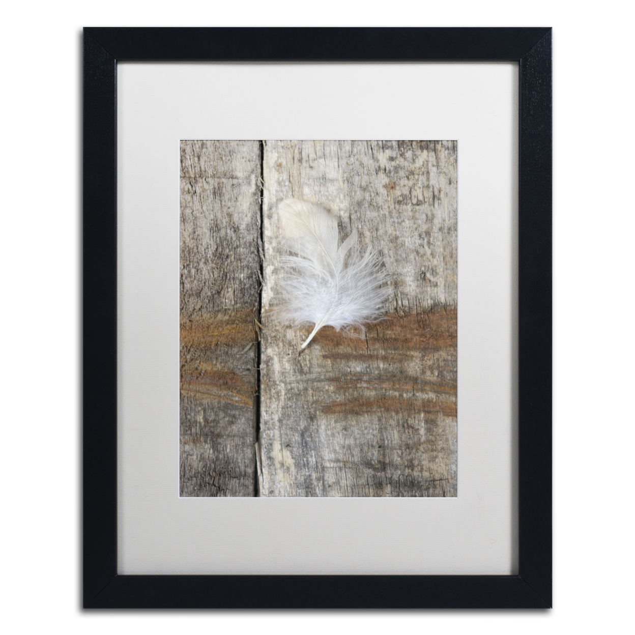 Cora Niele 'Feather On Wood I' Black Wooden Framed Art 18 X 22 Inches