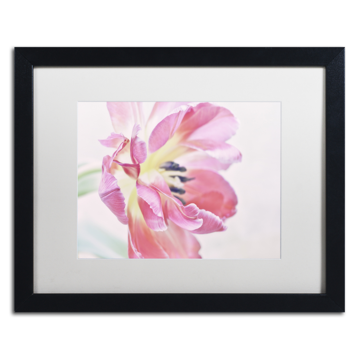 Cora Niele 'Cerise Tulip' Black Wooden Framed Art 18 X 22 Inches