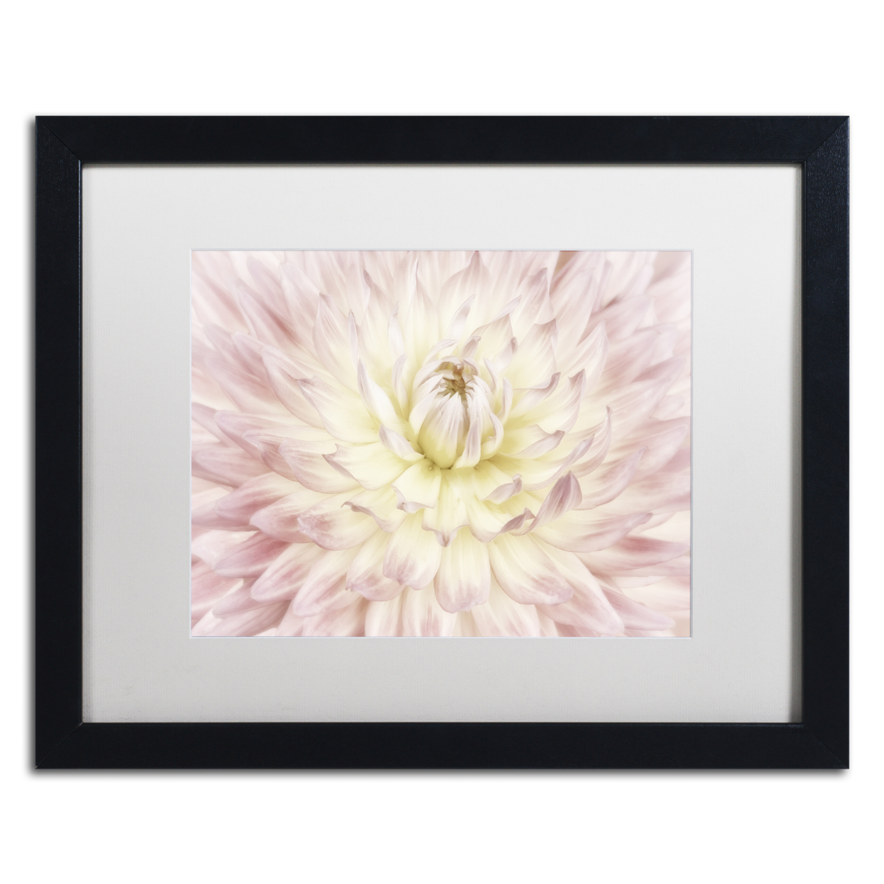 Cora Niele 'Dahlia Flower' Black Wooden Framed Art 18 X 22 Inches