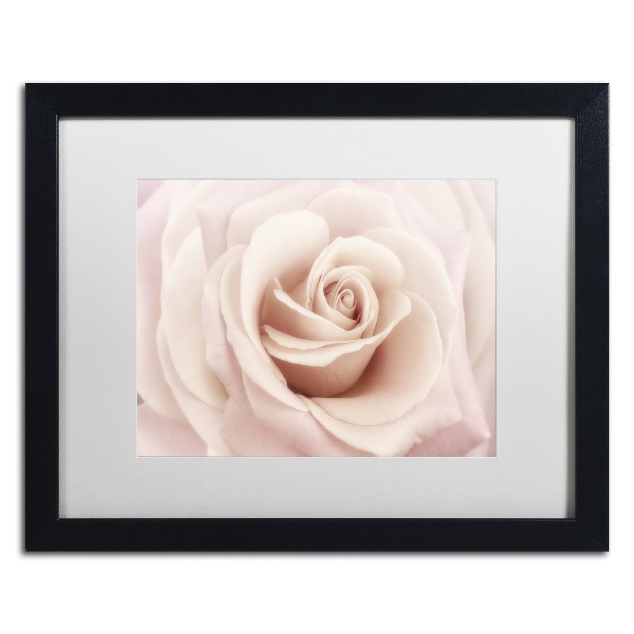 Cora Niele 'Peach Pink Rose' Black Wooden Framed Art 18 X 22 Inches