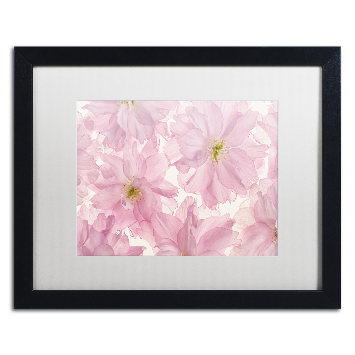 Cora Niele 'Pink Cherry Blossom' Black Wooden Framed Art 18 X 22 Inches