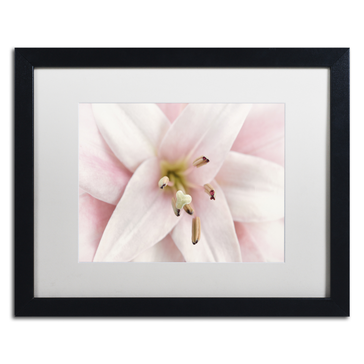 Cora Niele 'Pink Lily' Black Wooden Framed Art 18 X 22 Inches