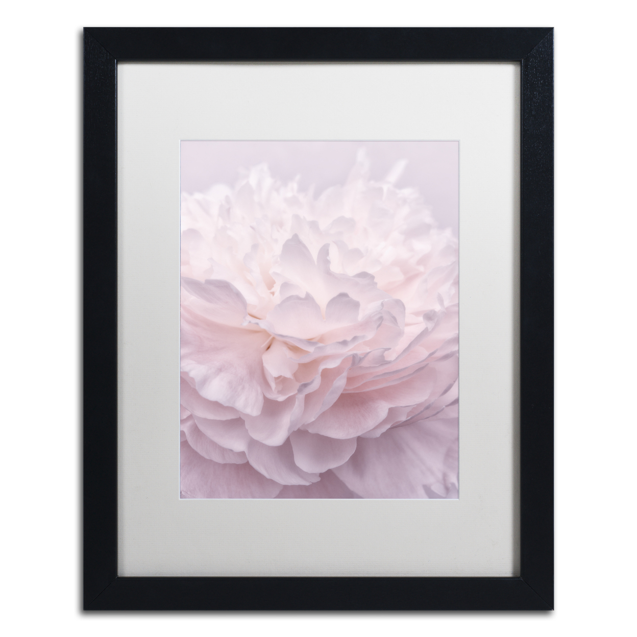 Cora Niele 'Pink Peony Petals I' Black Wooden Framed Art 18 X 22 Inches