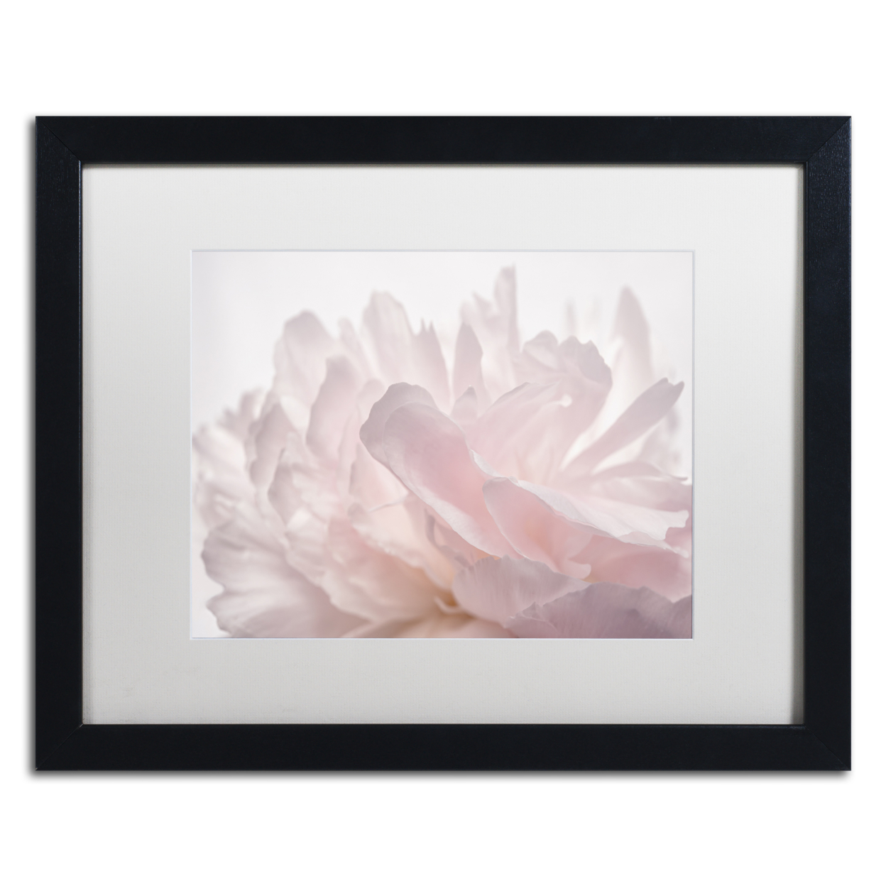 Cora Niele 'Pink Peony Petals V' Black Wooden Framed Art 18 X 22 Inches