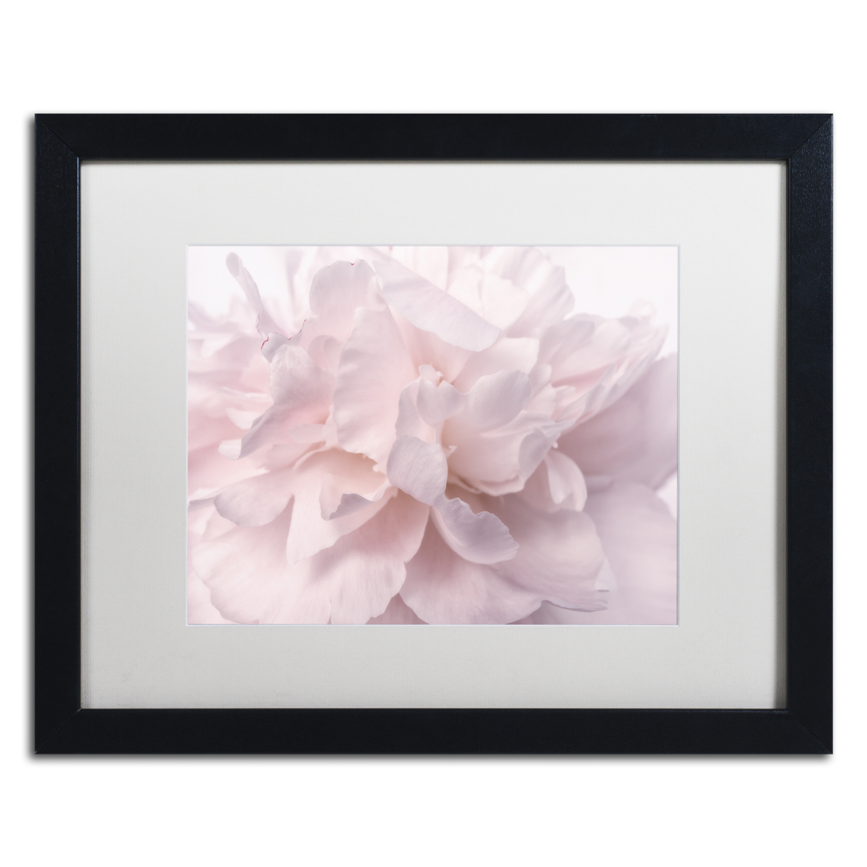 Cora Niele 'Pink Peony Petals II' Black Wooden Framed Art 18 X 22 Inches