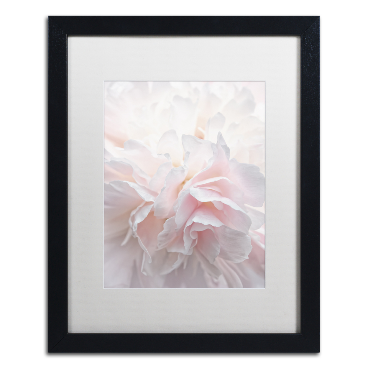 Cora Niele 'Pink Peony Petals IV' Black Wooden Framed Art 18 X 22 Inches