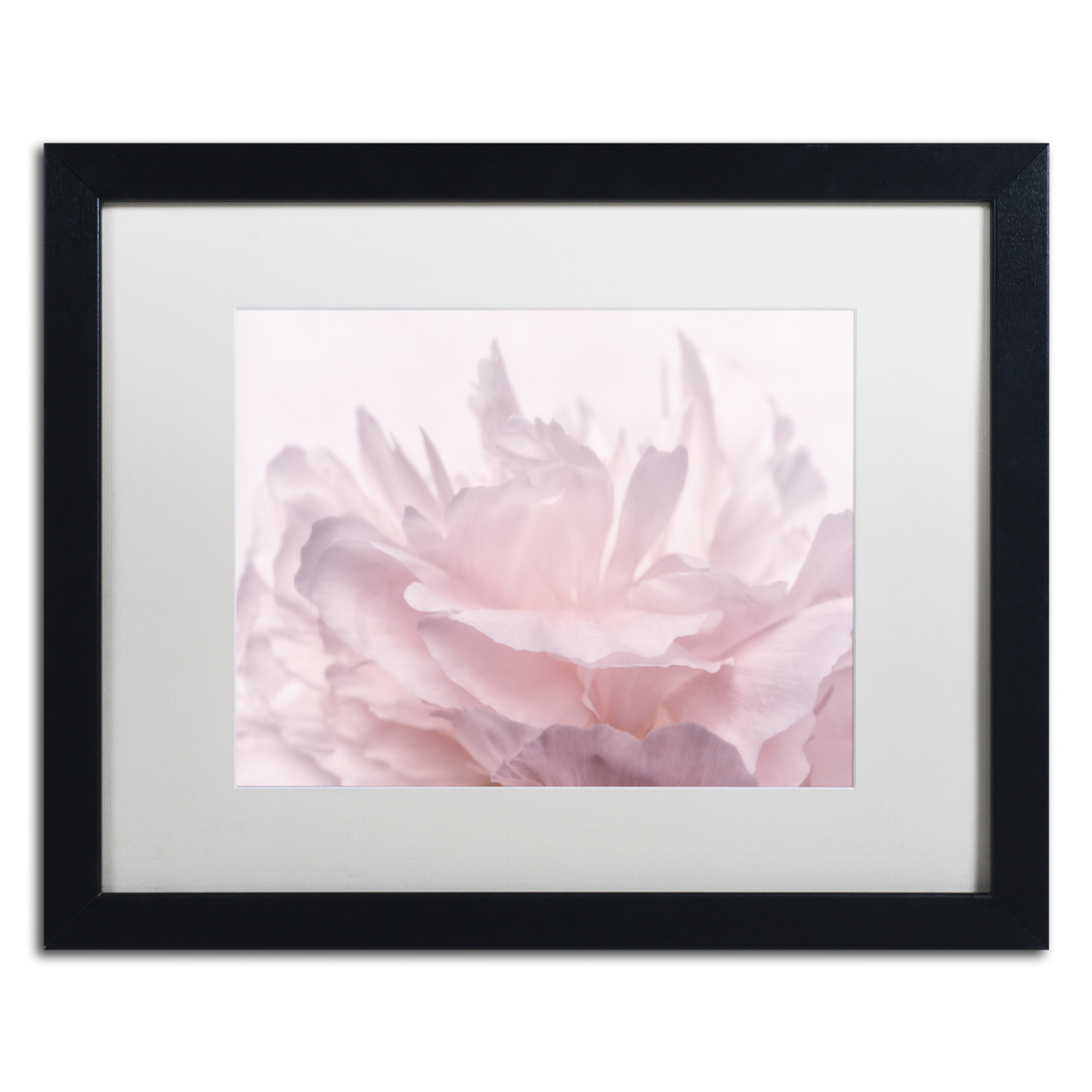 Cora Niele 'Pink Peony Petals III' Black Wooden Framed Art 18 X 22 Inches