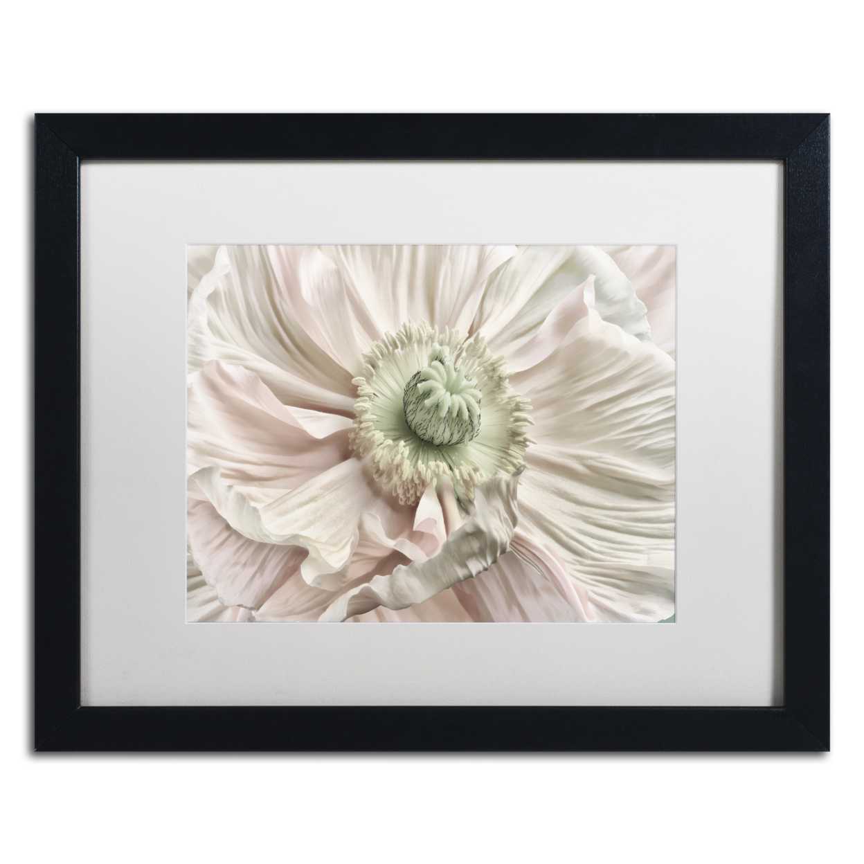 Cora Niele 'Pink Poppy' Black Wooden Framed Art 18 X 22 Inches