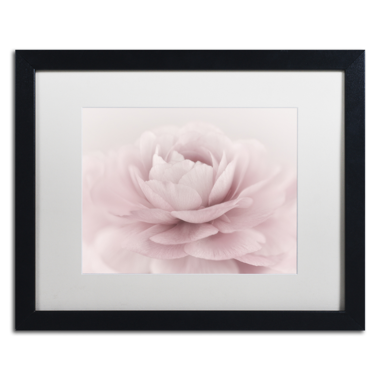 Cora Niele 'Stylisch Rose Pink' Black Wooden Framed Art 18 X 22 Inches