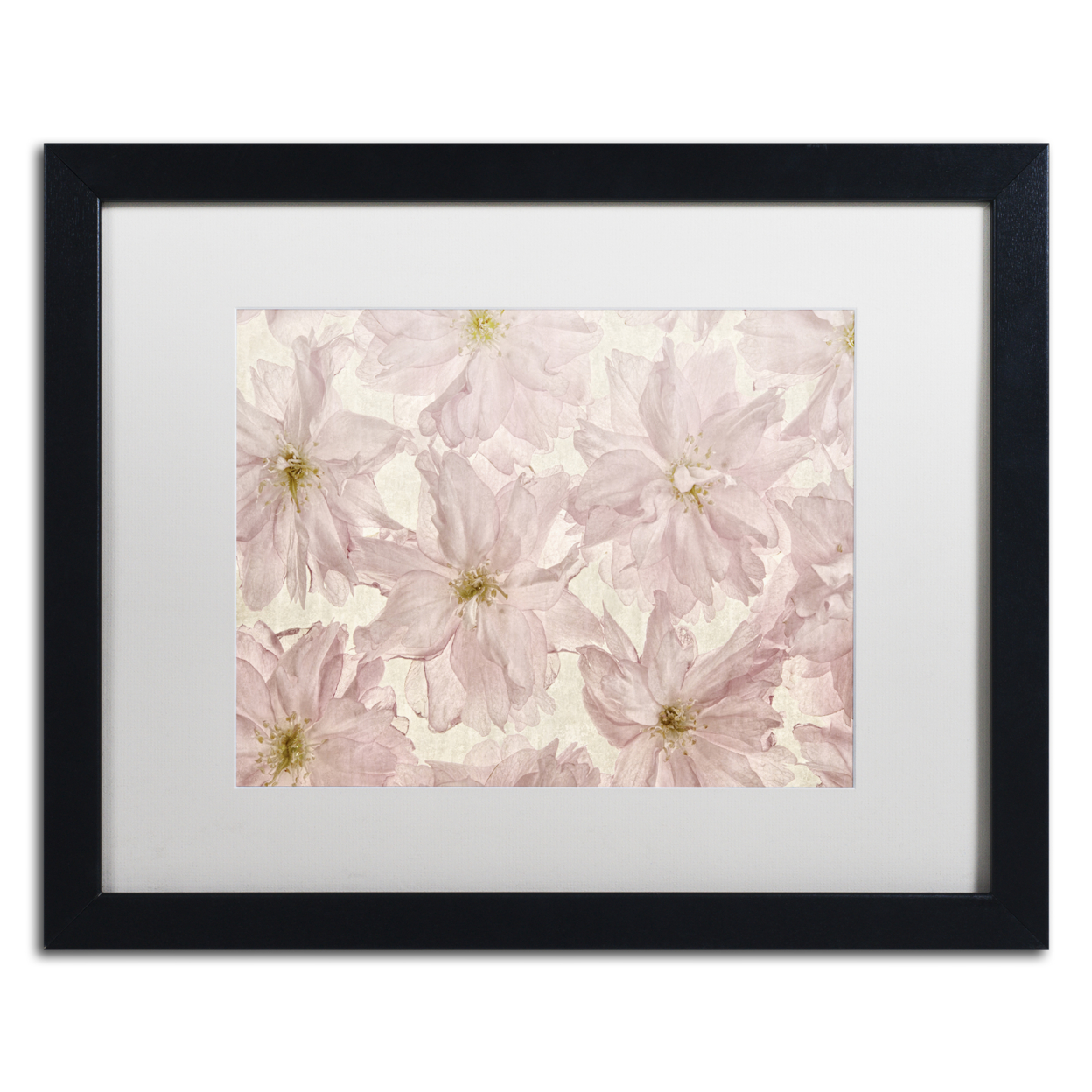 Cora Niele 'Vintage Blossom' Black Wooden Framed Art 18 X 22 Inches