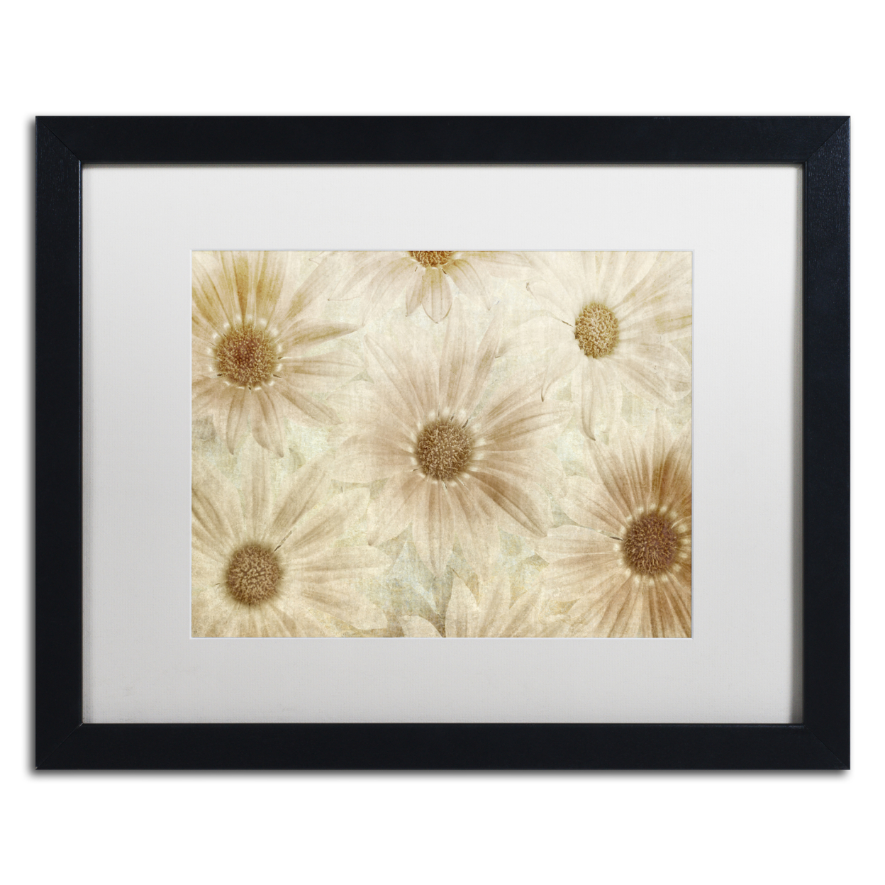 Cora Niele 'Vintage Daisies' Black Wooden Framed Art 18 X 22 Inches