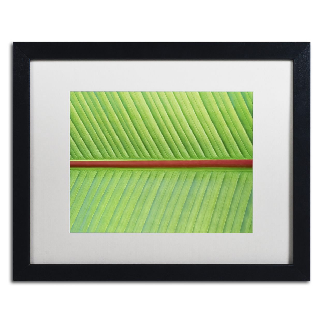 Cora Niele 'Leaf Texture V' Black Wooden Framed Art 18 X 22 Inches