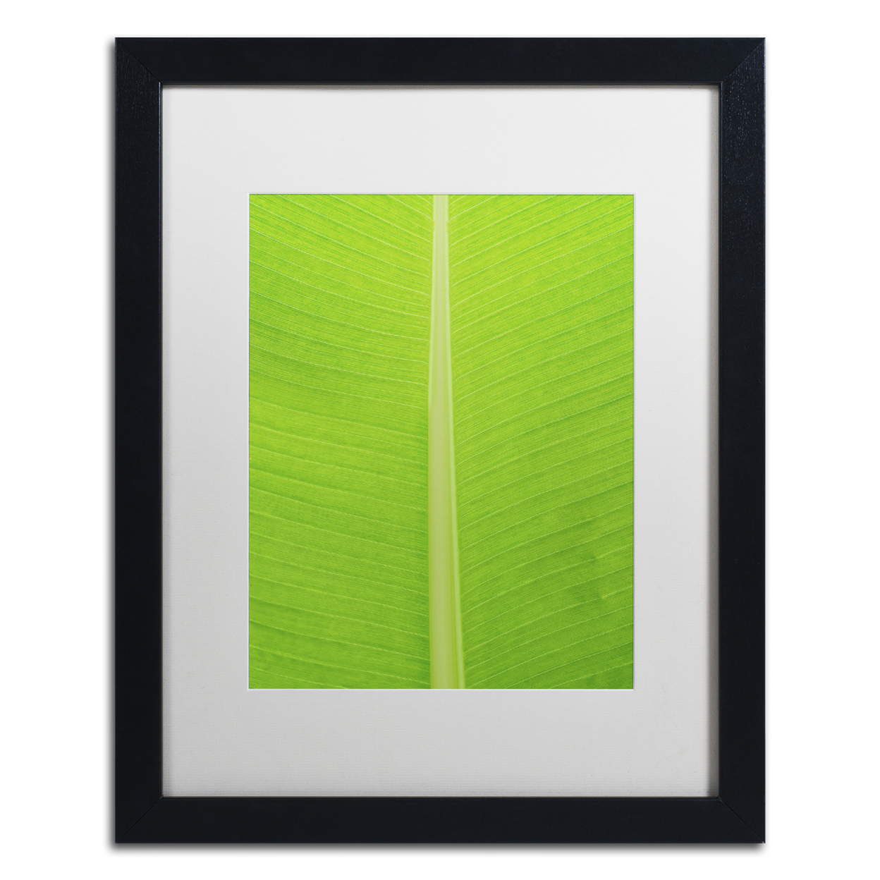 Cora Niele 'Leaf Texture I' Black Wooden Framed Art 18 X 22 Inches