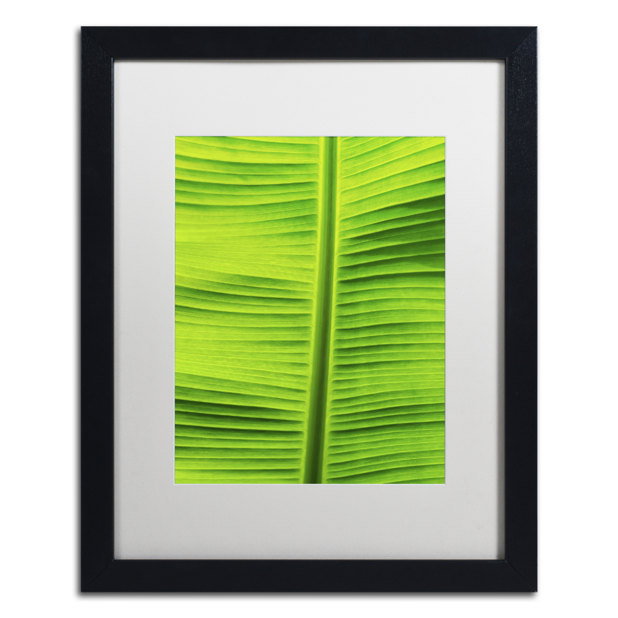 Cora Niele 'Leaf Texture VIII' Black Wooden Framed Art 18 X 22 Inches