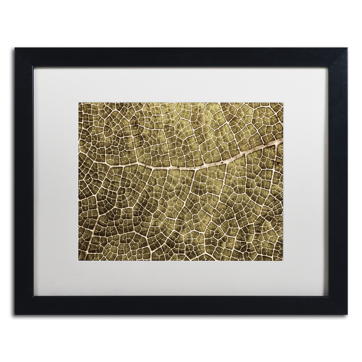 Cora Niele 'Sepia Leaf Texture' Black Wooden Framed Art 18 X 22 Inches