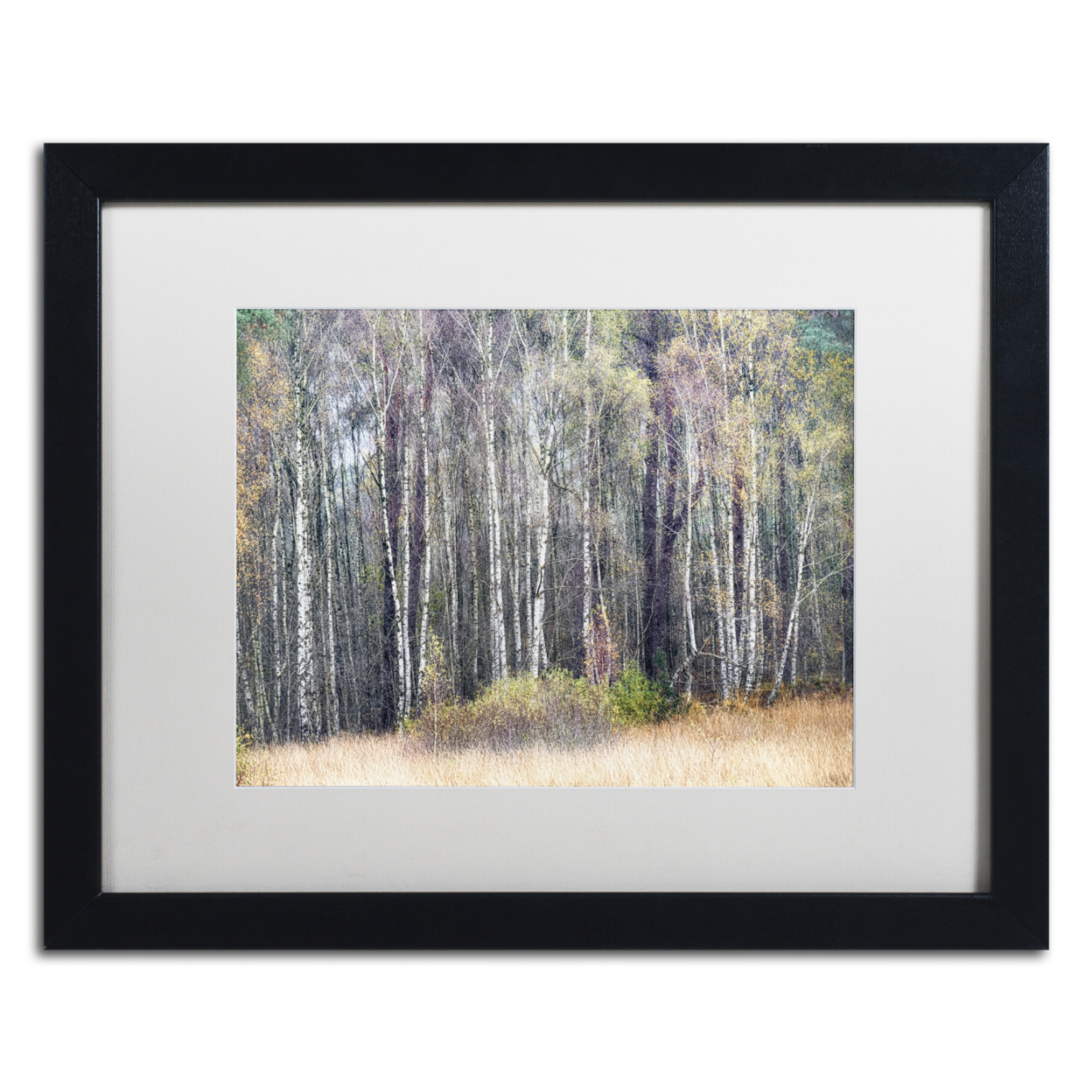 Cora Niele 'Birches' Black Wooden Framed Art 18 X 22 Inches