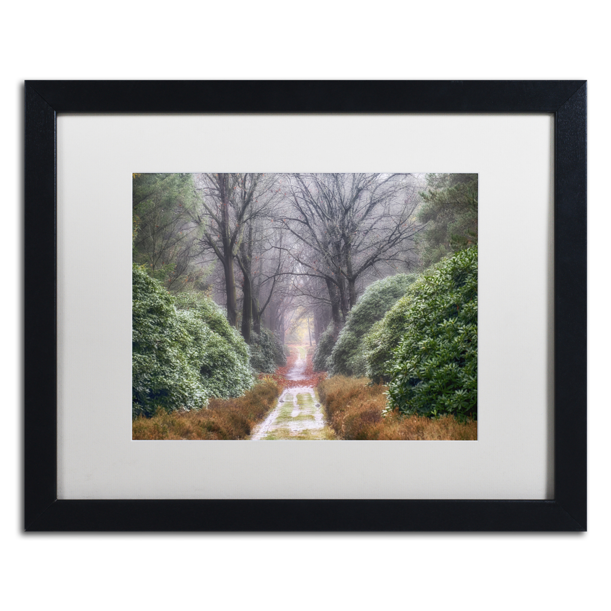 Cora Niele 'Rhododendron Lane' Black Wooden Framed Art 18 X 22 Inches