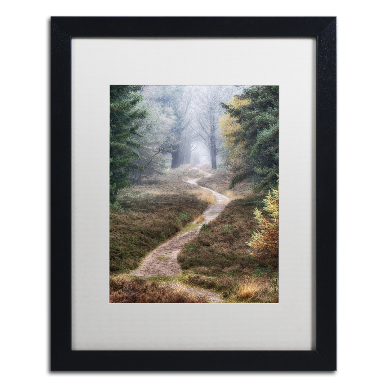 Cora Niele 'Hiking Trail' Black Wooden Framed Art 18 X 22 Inches