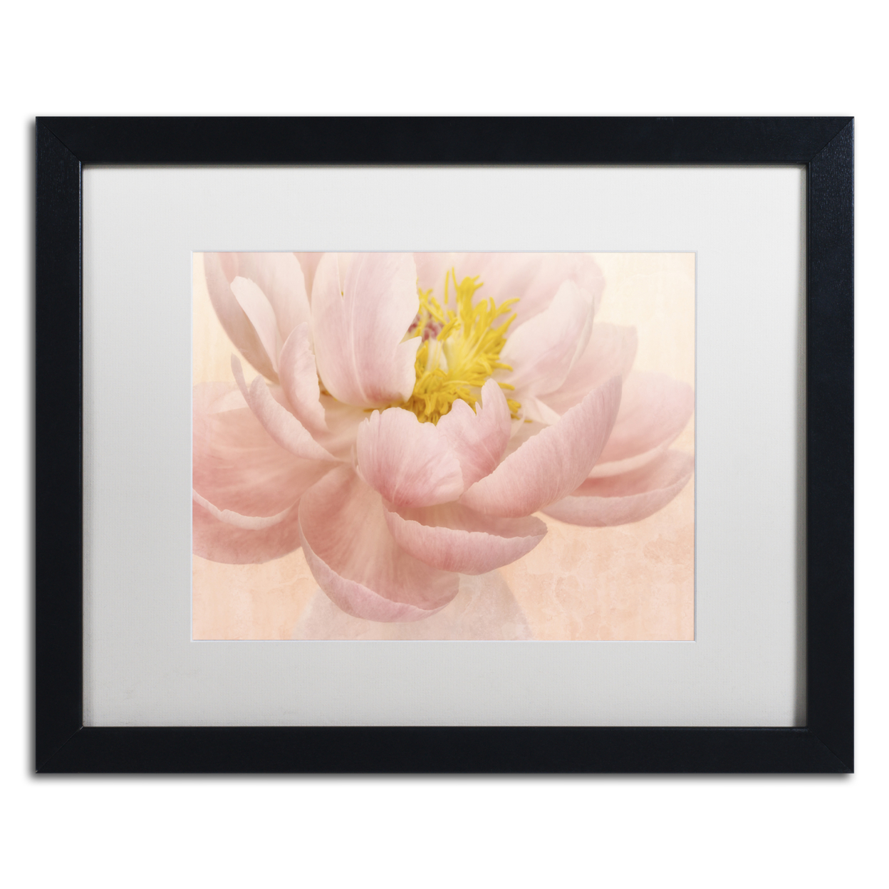 Cora Niele 'Pink Peony' Black Wooden Framed Art 18 X 22 Inches