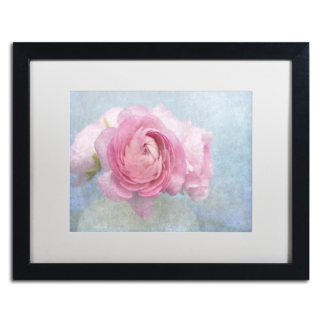 Cora Niele 'Pink Persian Buttercup Still Life' Black Wooden Framed Art 18 X 22 Inches