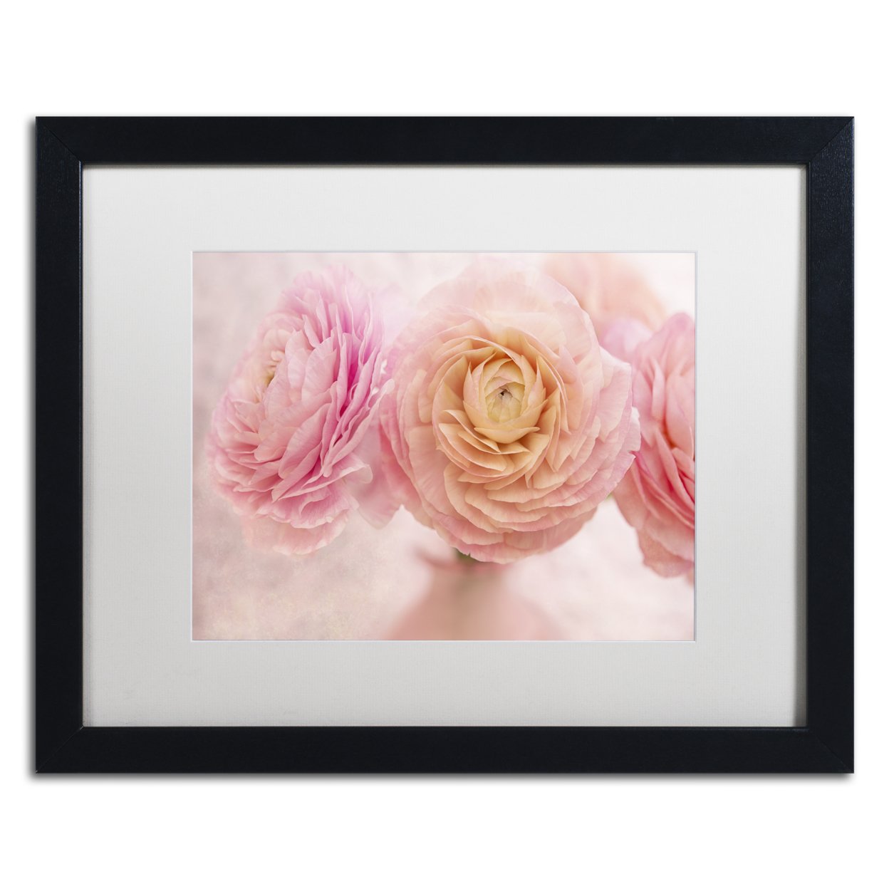 Cora Niele 'Pink Persian Buttercup Bouquet' Black Wooden Framed Art 18 X 22 Inches