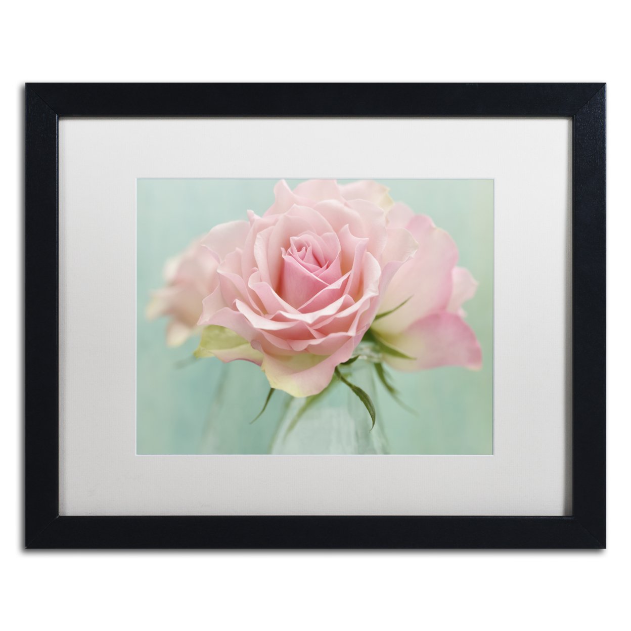 Cora Niele 'Pink Roses' Black Wooden Framed Art 18 X 22 Inches