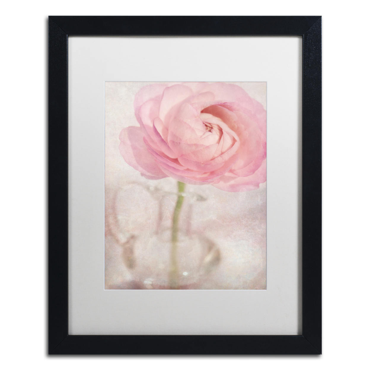 Cora Niele 'Single Rose Pink Flower' Black Wooden Framed Art 18 X 22 Inches