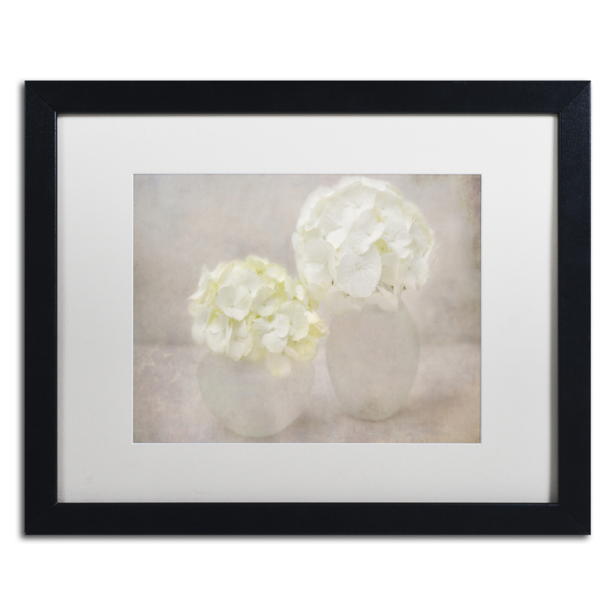 Cora Niele 'White Hortensia Still Life' Black Wooden Framed Art 18 X 22 Inches