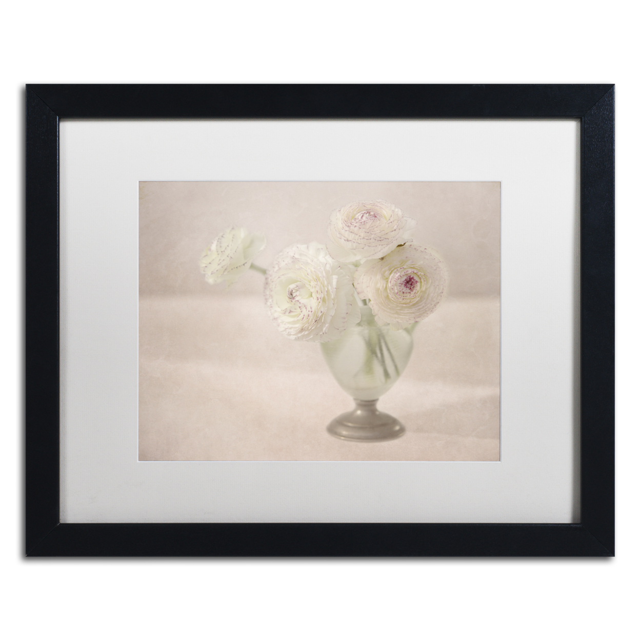 Cora Niele 'White Persian Buttercups Posy' Black Wooden Framed Art 18 X 22 Inches