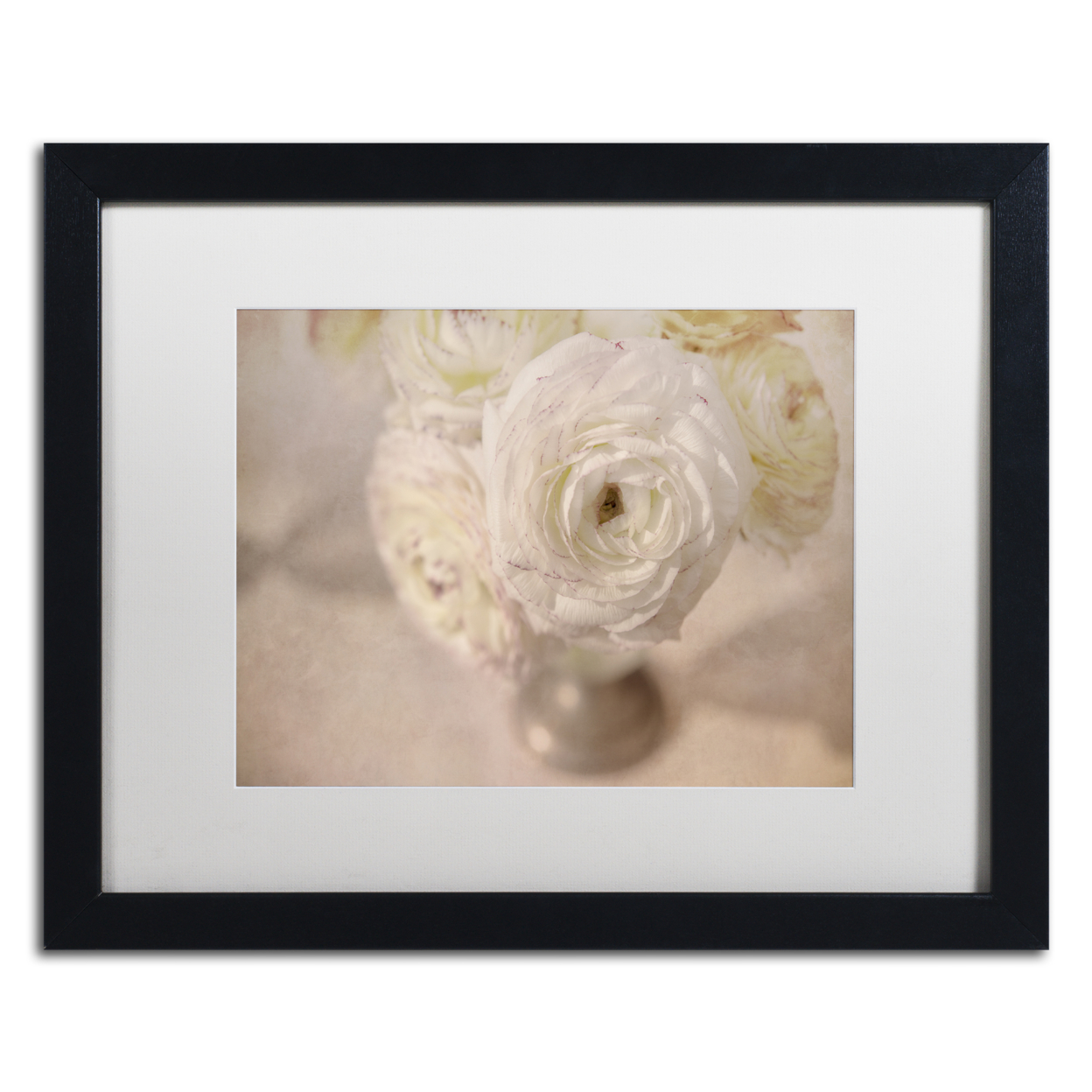 Cora Niele 'White Persian Buttercup Still Life' Black Wooden Framed Art 18 X 22 Inches