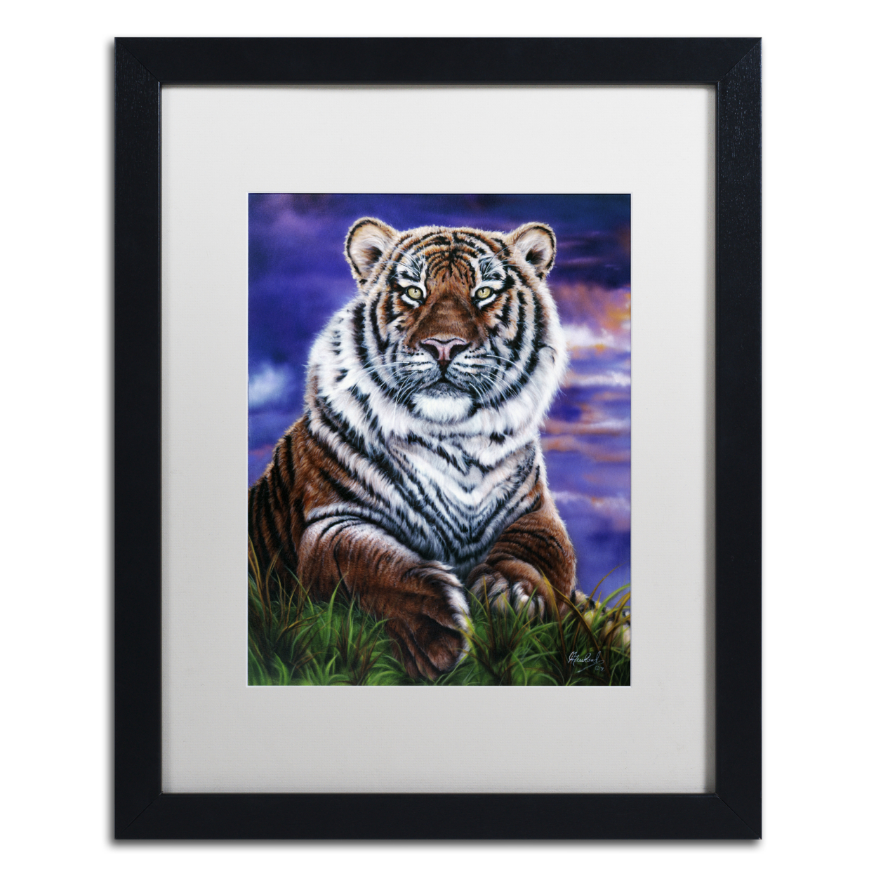 Jenny Newland 'Arizona Tiger' Black Wooden Framed Art 18 X 22 Inches