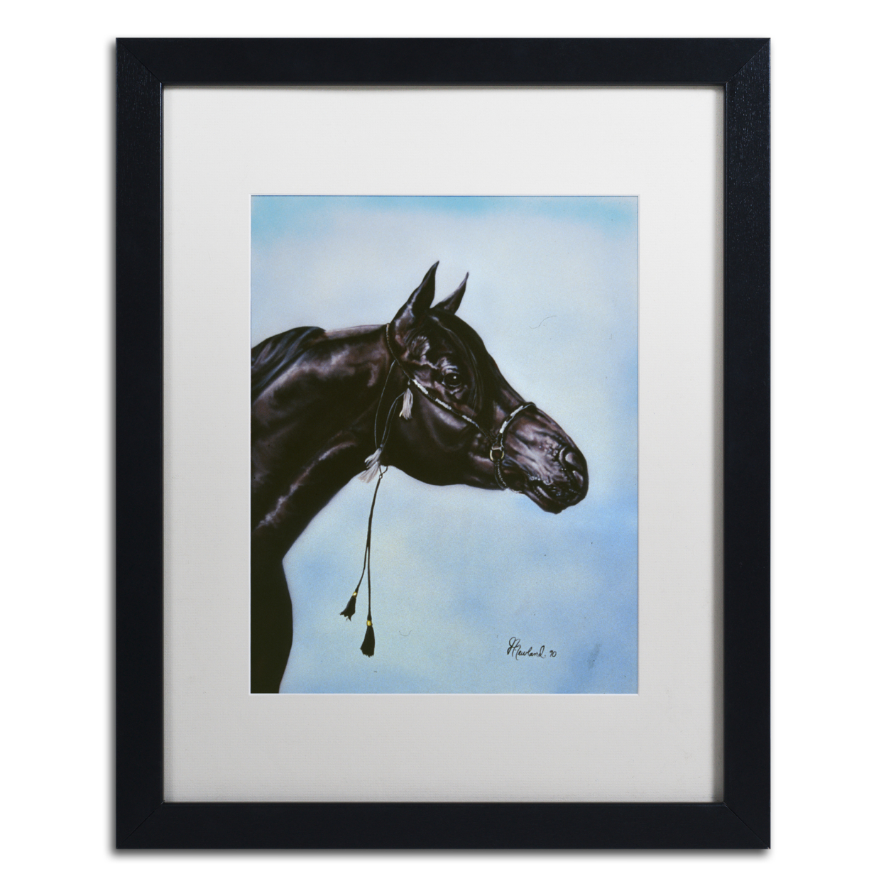 Jenny Newland 'Black Arabian' Black Wooden Framed Art 18 X 22 Inches