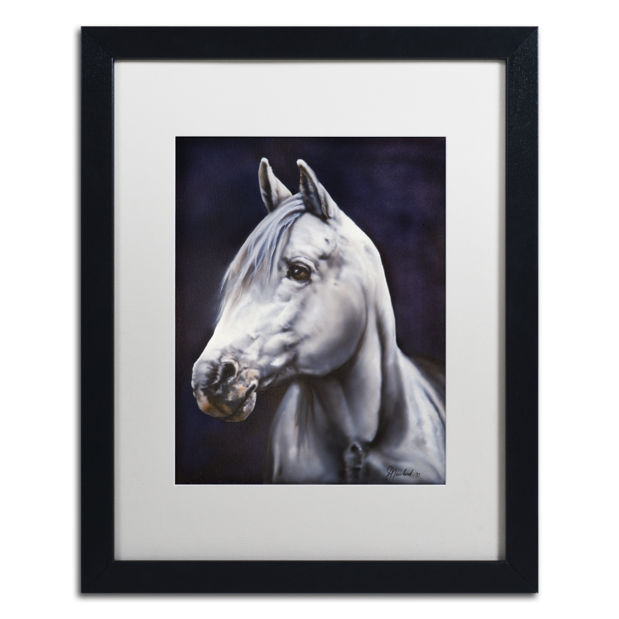 Jenny Newland 'White Arabian Stallion' Black Wooden Framed Art 18 X 22 Inches