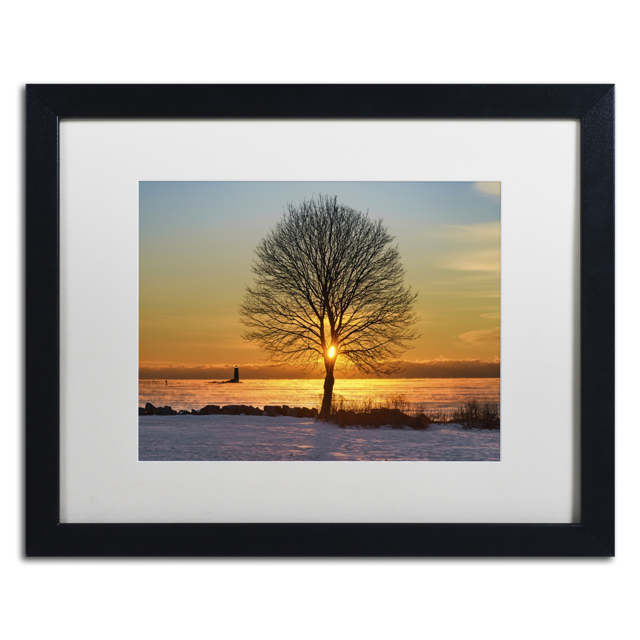 Michael Blanchette Photography 'Eye Of The Tree' Black Wooden Framed Art 18 X 22 Inches