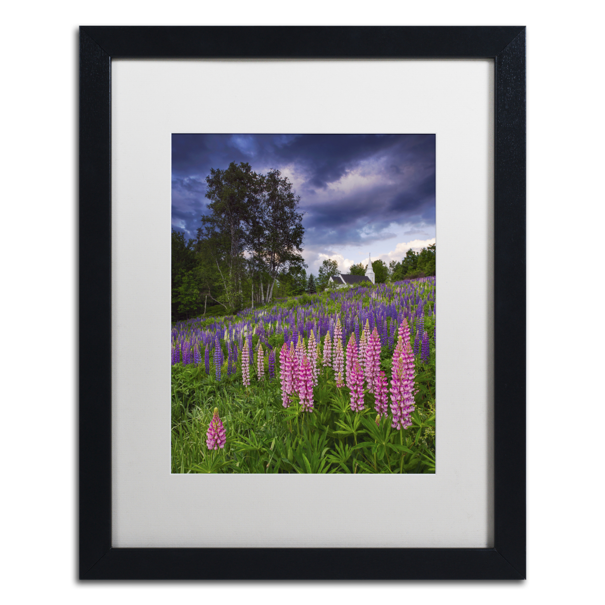 Michael Blanchette Photography 'Lupines On The Hill' Black Wooden Framed Art 18 X 22 Inches