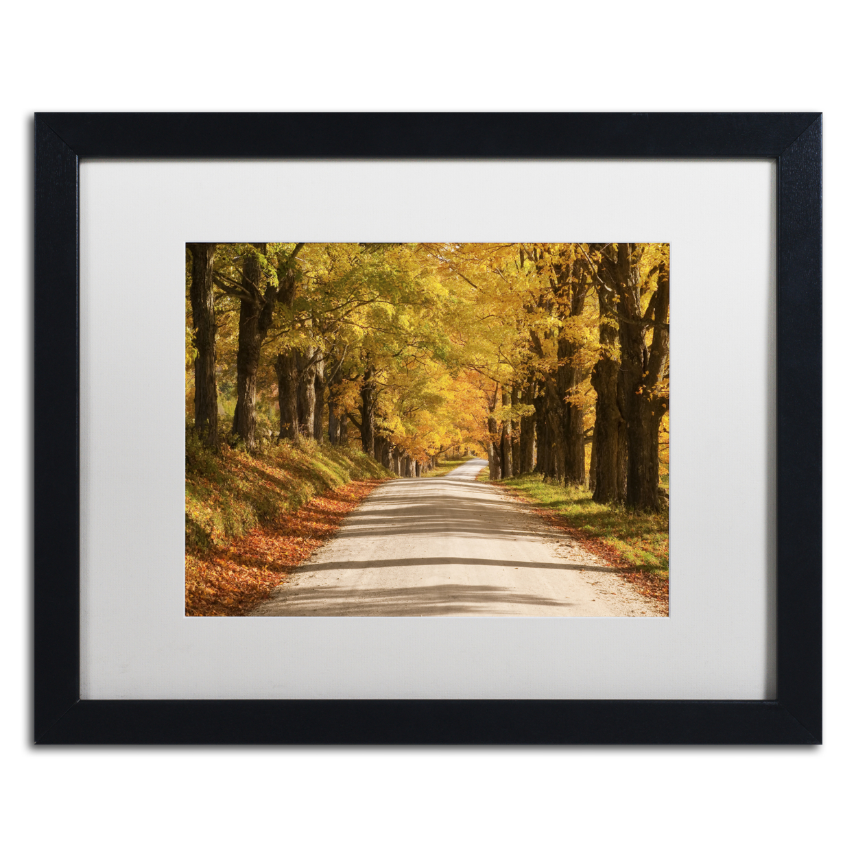 Michael Blanchette Photography 'Maple Canopy' Black Wooden Framed Art 18 X 22 Inches