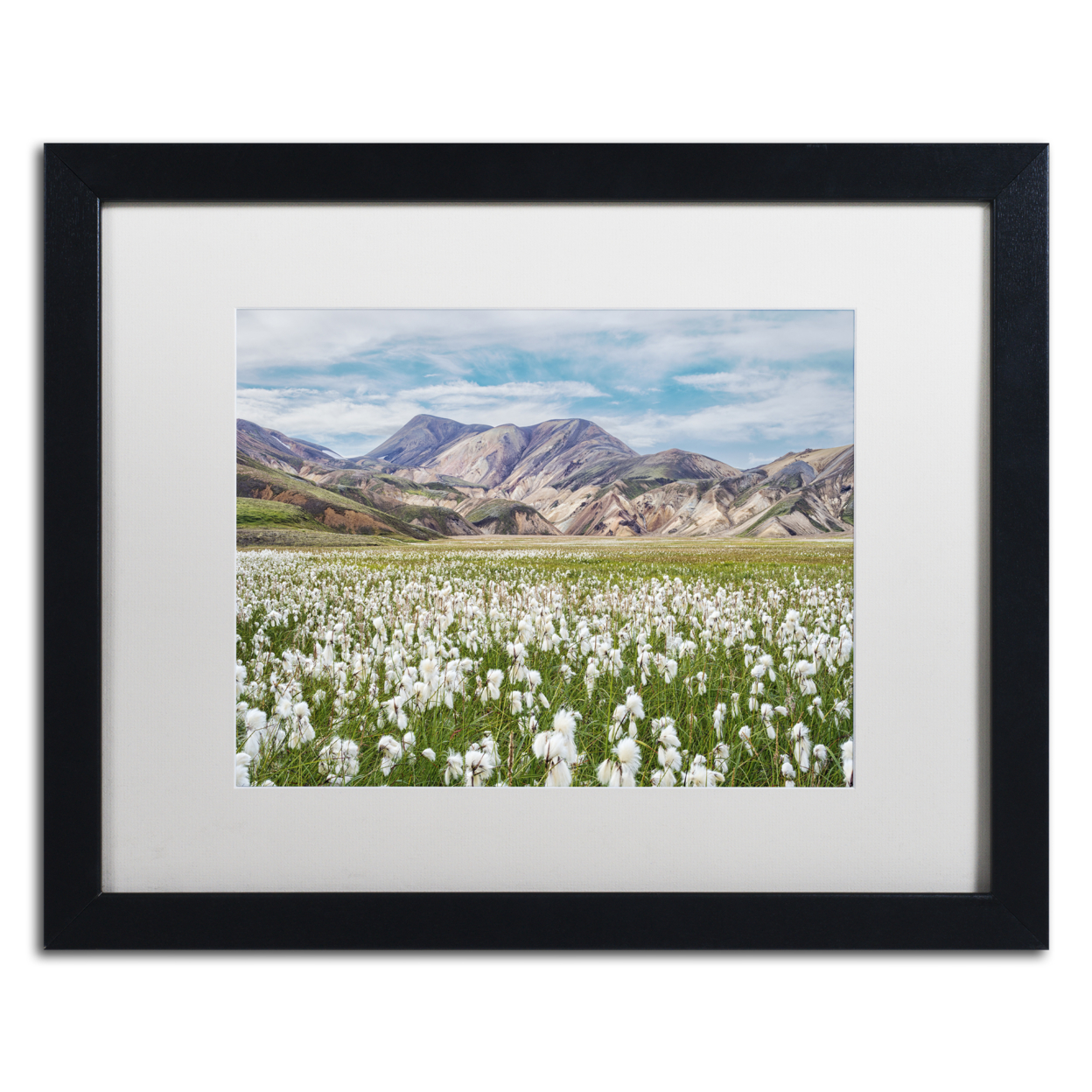 Michael Blanchette Photography 'Cotton Grass' Black Wooden Framed Art 18 X 22 Inches